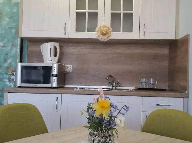 Vromos 切尔诺莫雷茨